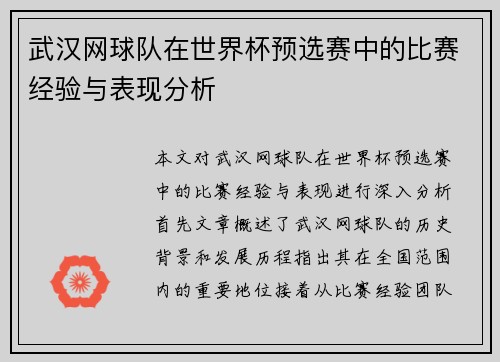 武汉网球队在世界杯预选赛中的比赛经验与表现分析
